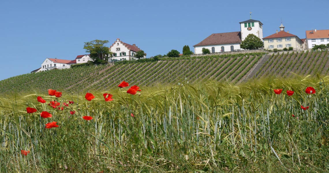 Kirche Hohenhaslach