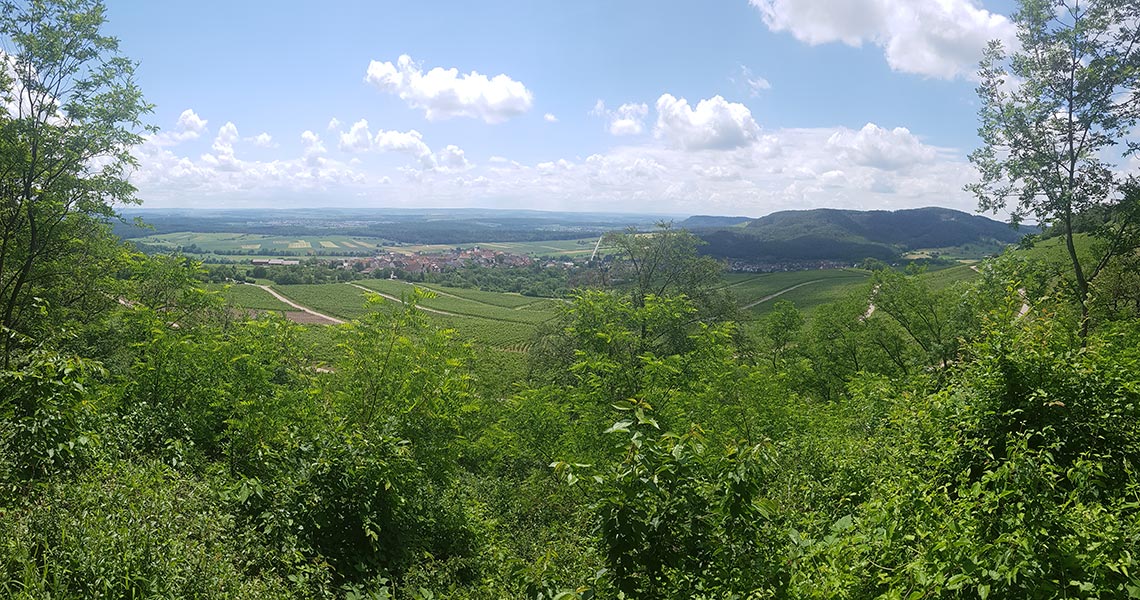 Blickwechsel - Blick ins Land