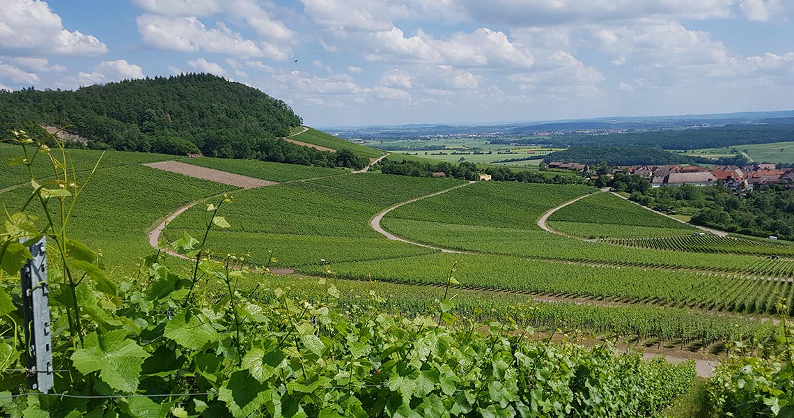 Weitblick in Landschaft