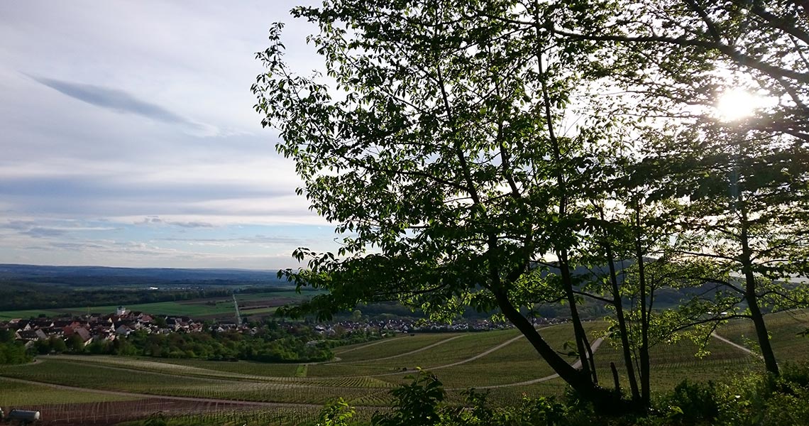 Weitblick in Landschaft
